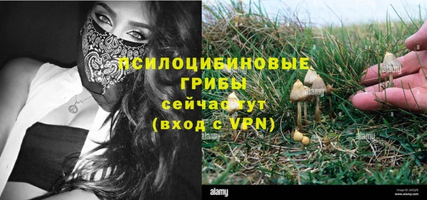 МДПВ Ладушкин