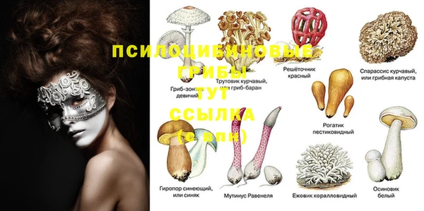 кокс Алексеевка