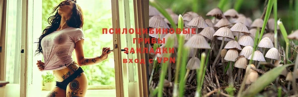 ПСИЛОЦИБИНОВЫЕ ГРИБЫ Майский